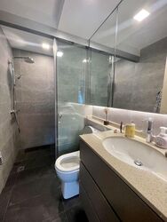 Spring Grove (D10), Condominium #479944541